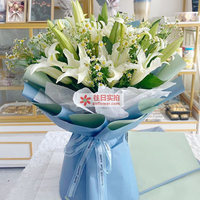 泰州8支白色多头百合洋甘菊，互倾的思念