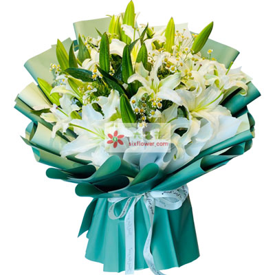 泰州8支白色多头百合洋甘菊，如潮的思念